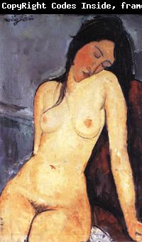 Amedeo Modigliani Seated Nude
